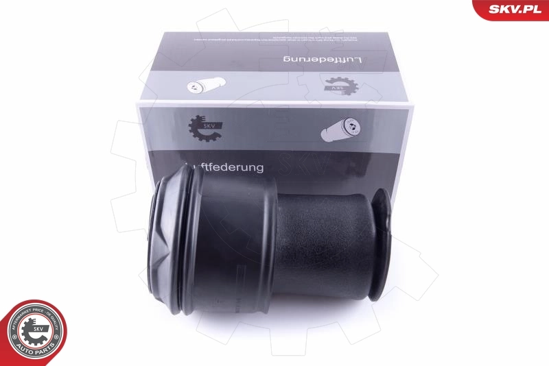 Air Spring, suspension